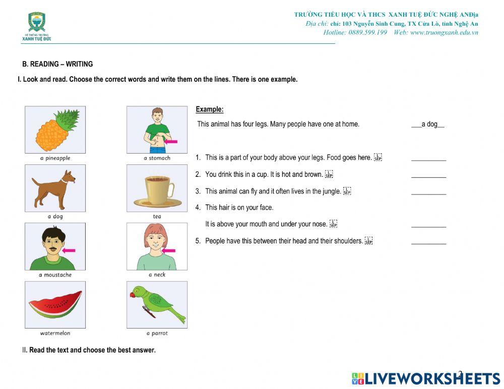 Case Based Questions For Grade 3 Maths