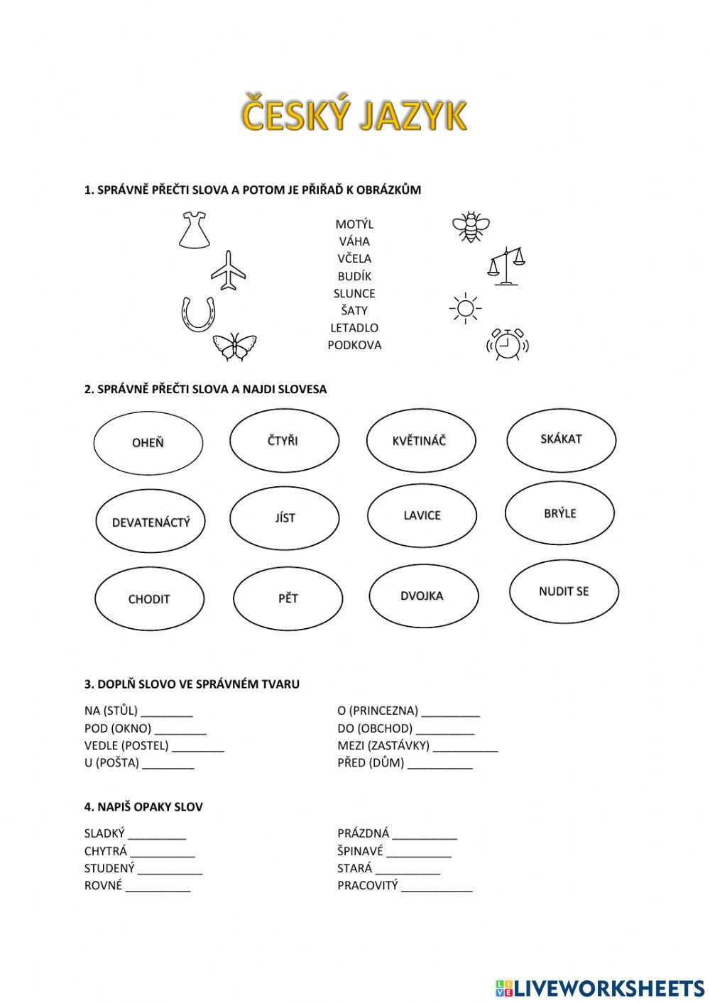 Český jazyk-Procvičování