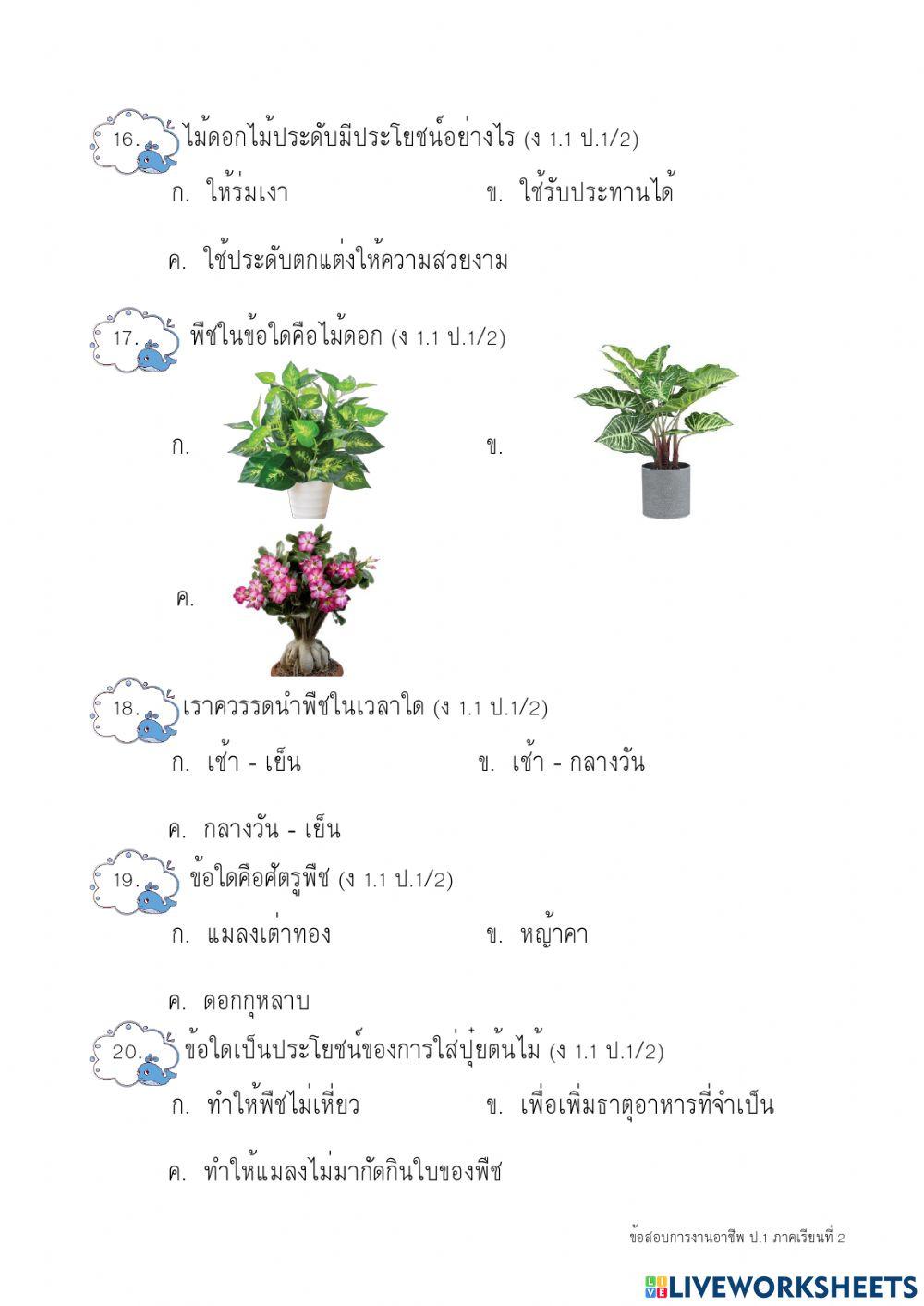 การงาน2