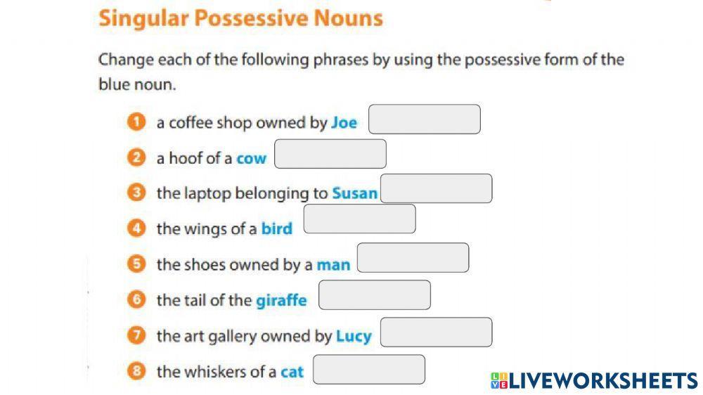 Singular Possessive Nouns