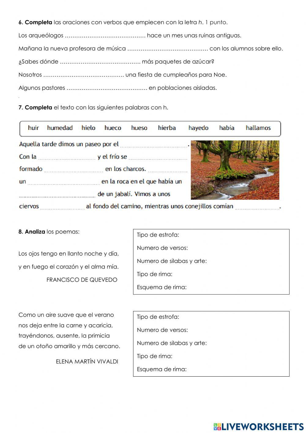 Test. lengua y literatura. tema 7.