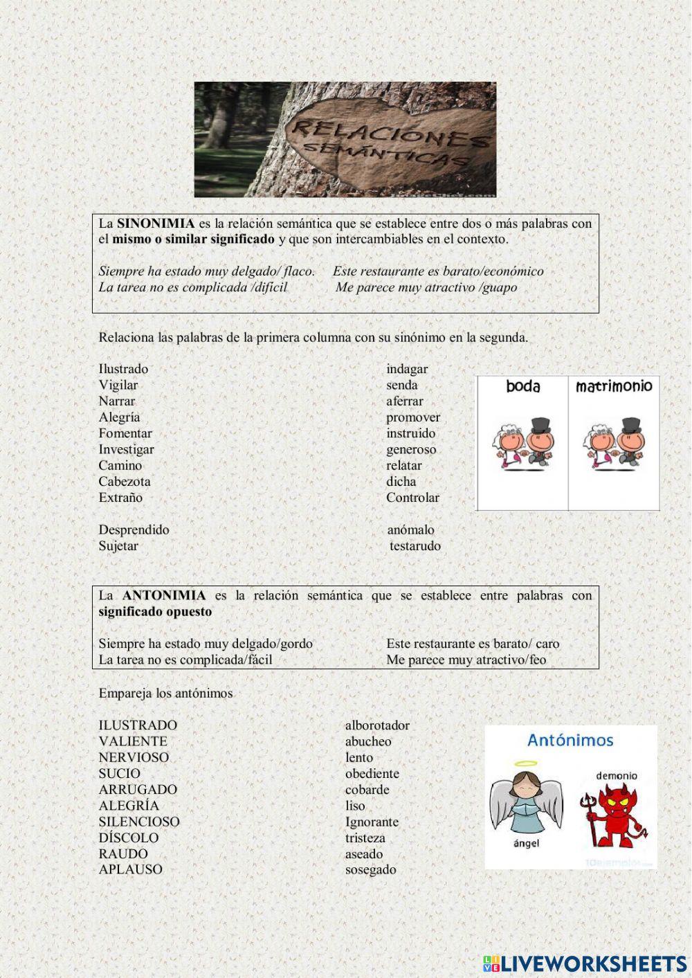 Relaciones semánticas