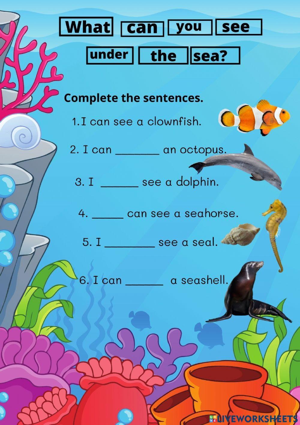 What can you see under the sea?