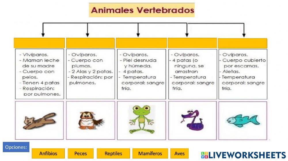 Animales vertebrados