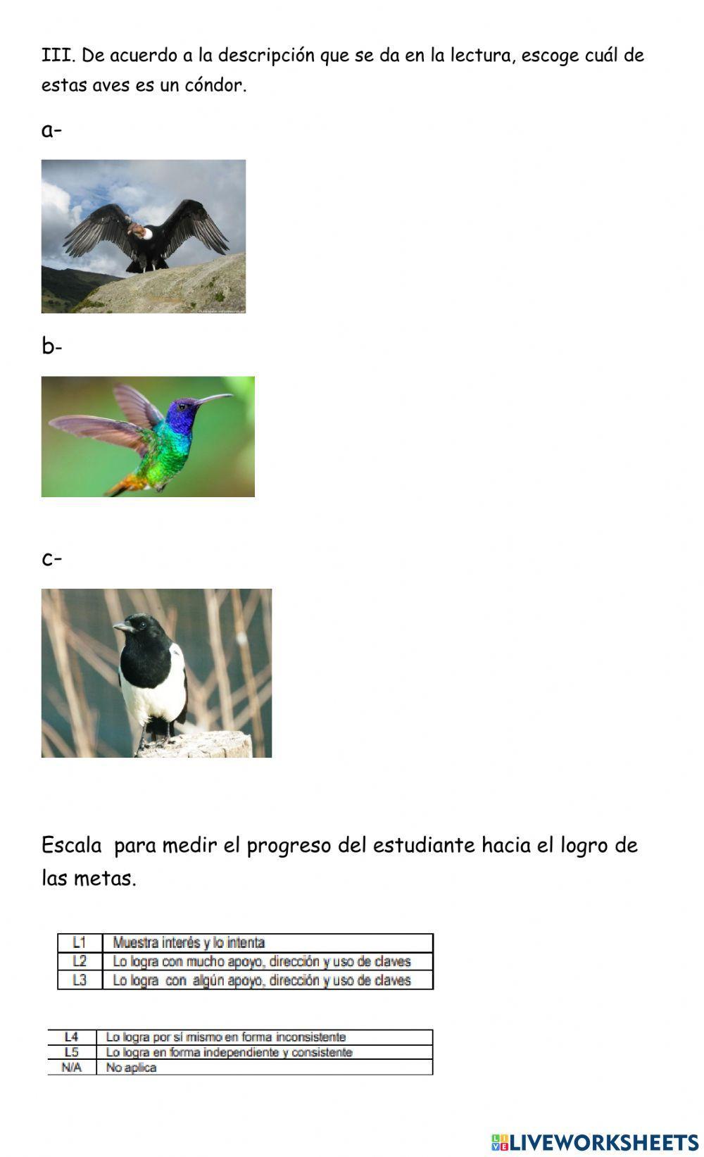 Audiolectura El cóndor de los Andes