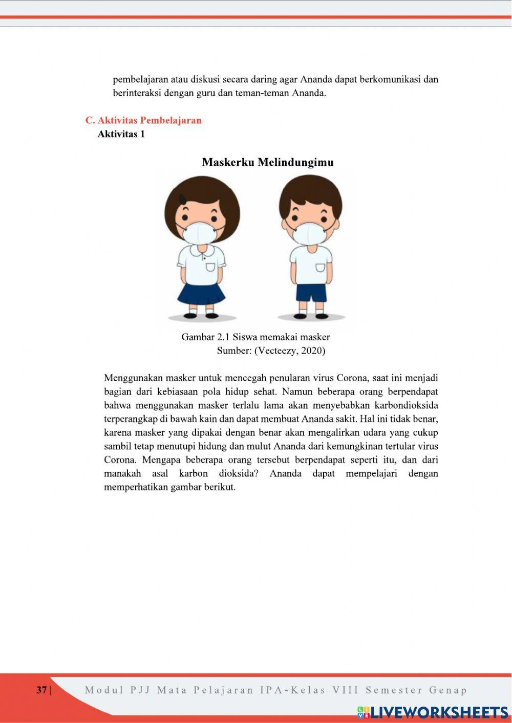 Sistem Pernapasan Pada Manusia