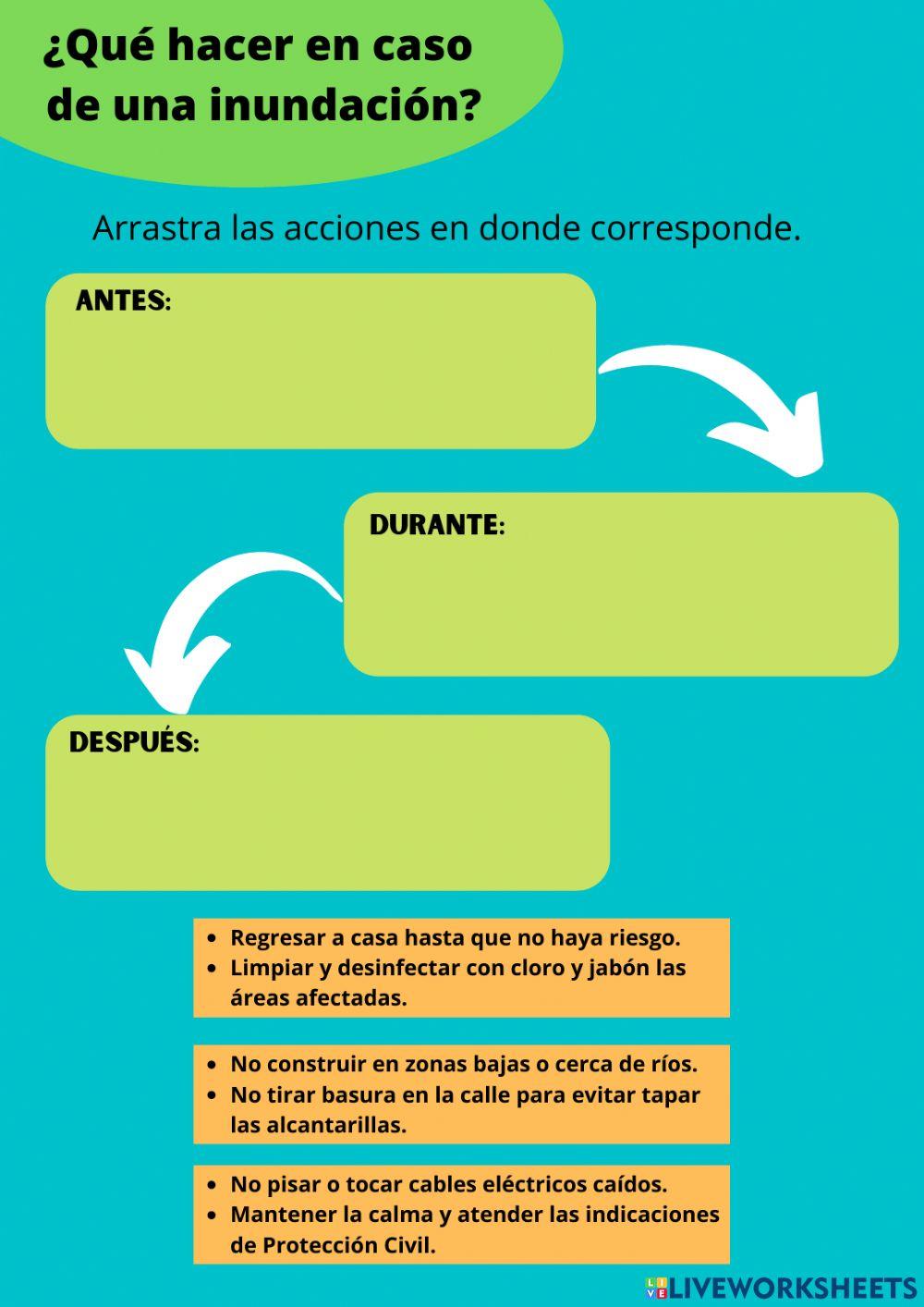 ¿Qué hacer en caso de inundación?