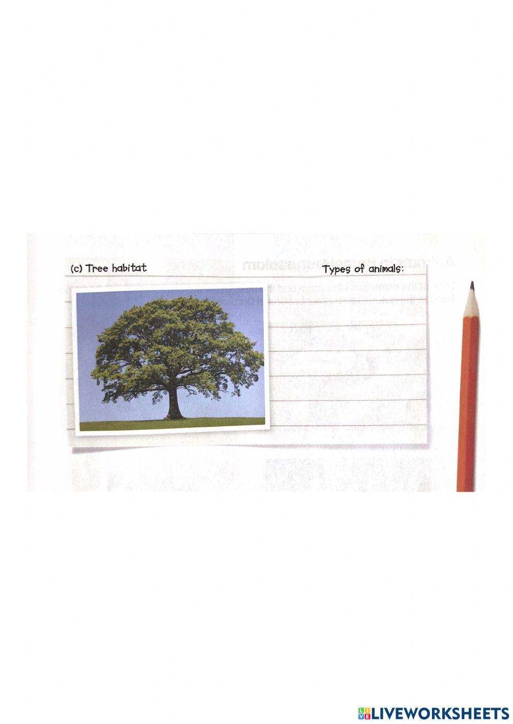 Tree habitat worksheet Live Worksheets