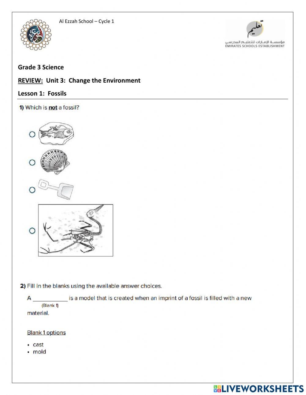 Science REVIEW:  Lesson 1:  Fossils