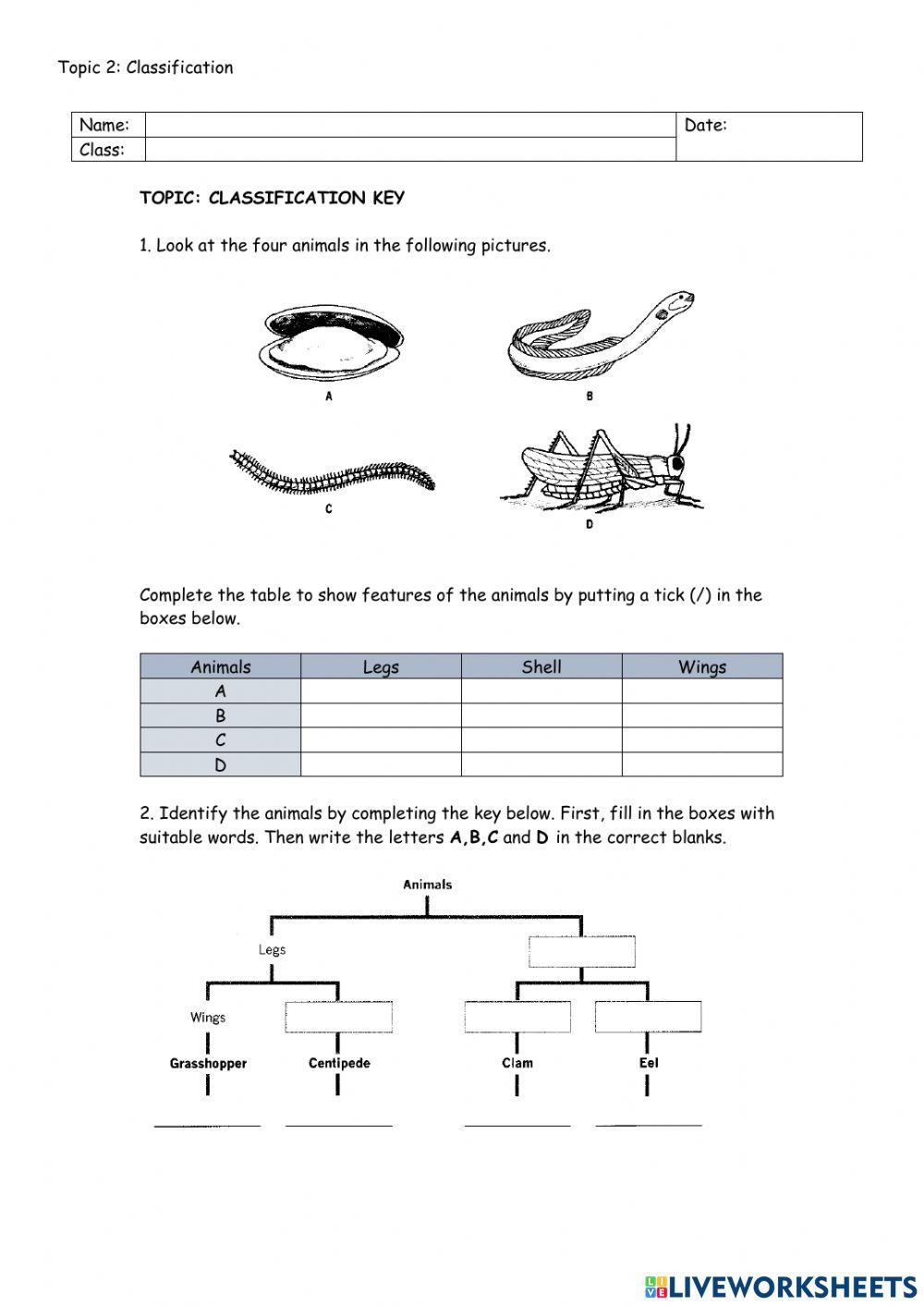 Classification Key Worksheet
