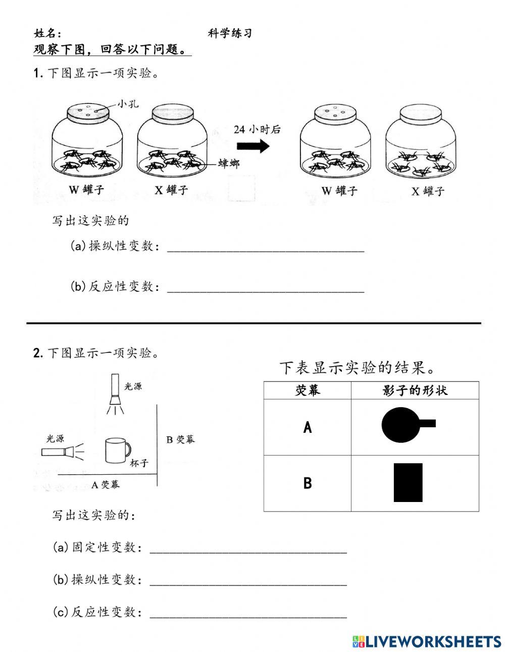 Std 5 科学变数练习