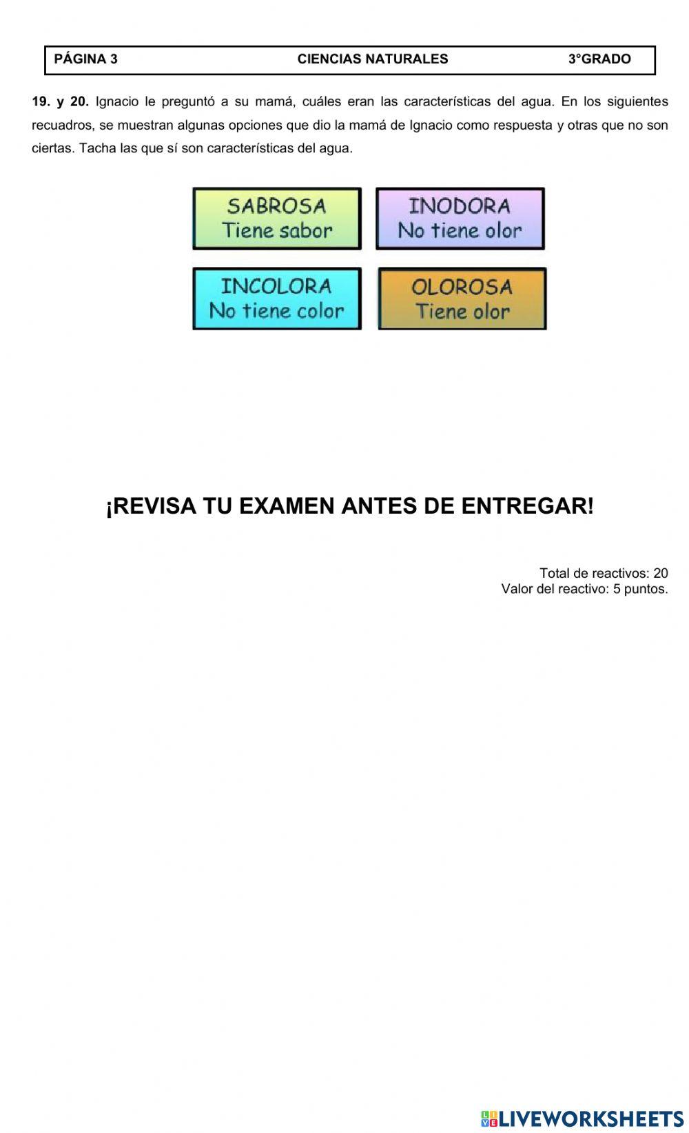 Evaluación mensual