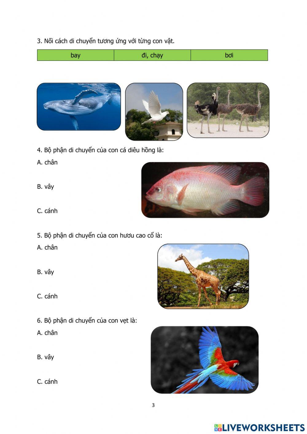 Động thực vật