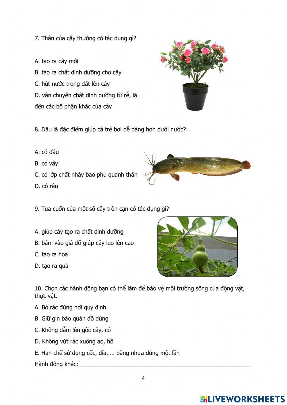 Động thực vật