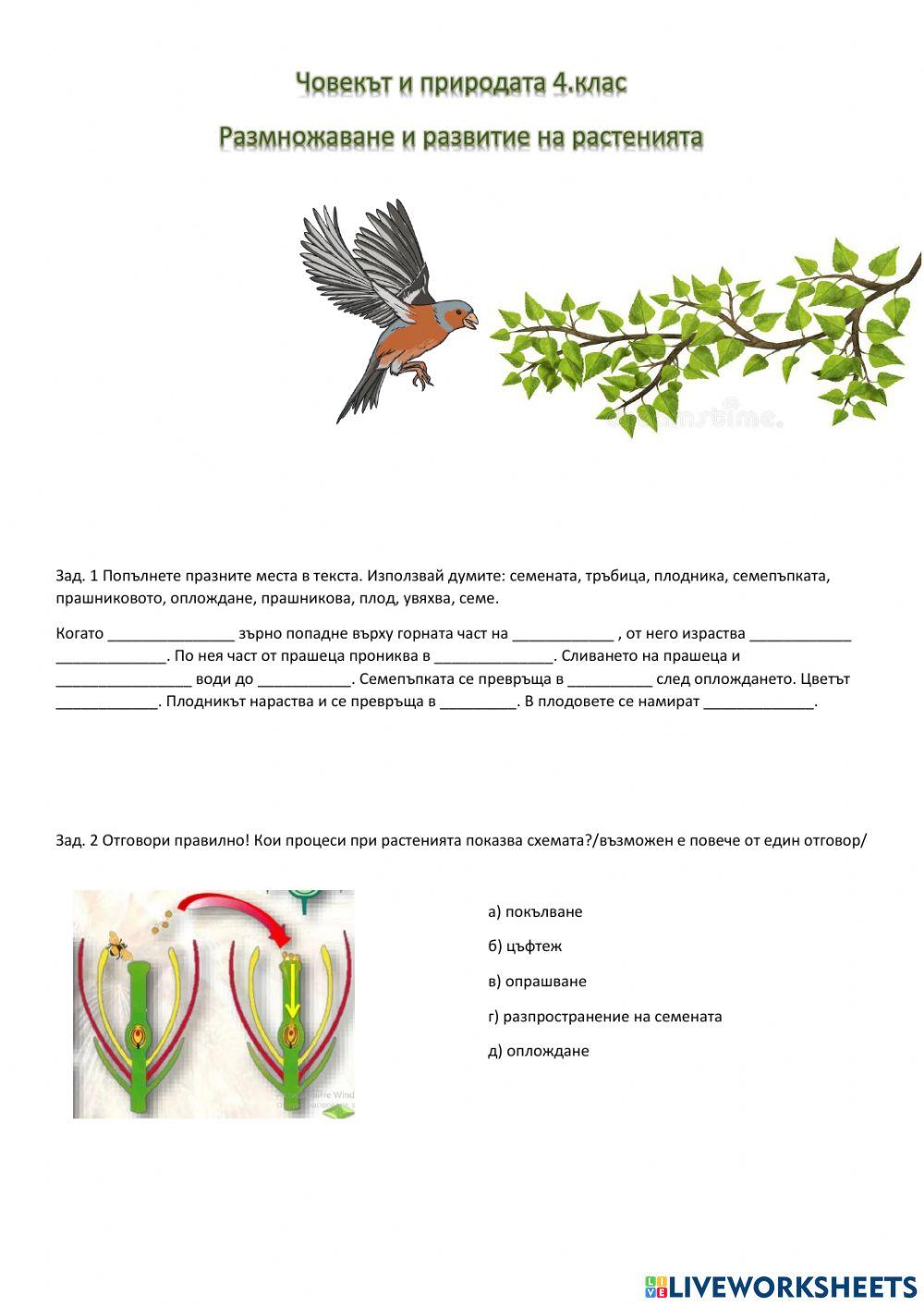 Размножаване и развитие при растенията