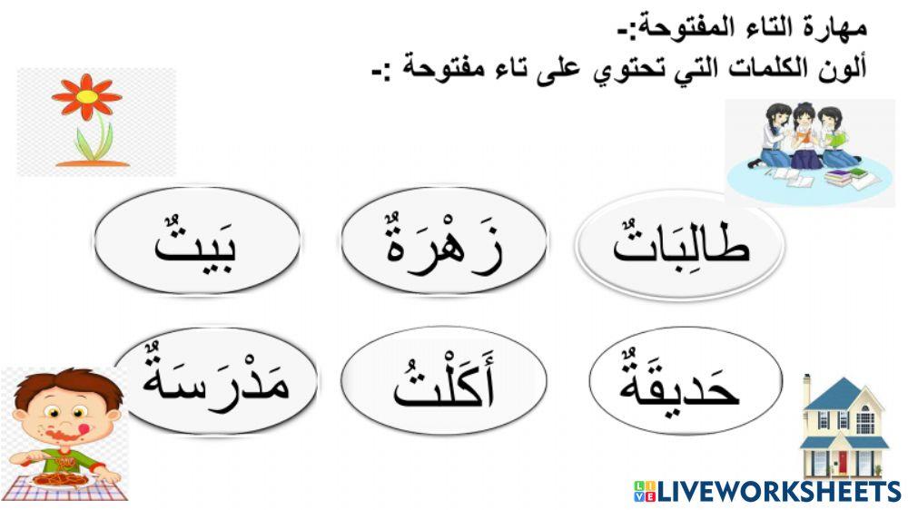 التاء المفتوحة والتاء المربوطة والهاء