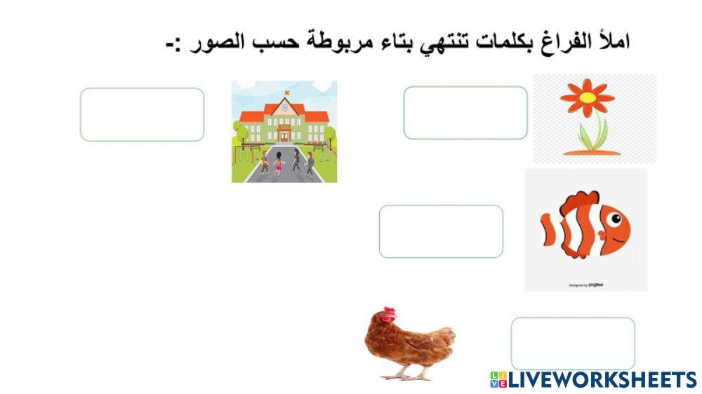 التاء المفتوحة والتاء المربوطة والهاء