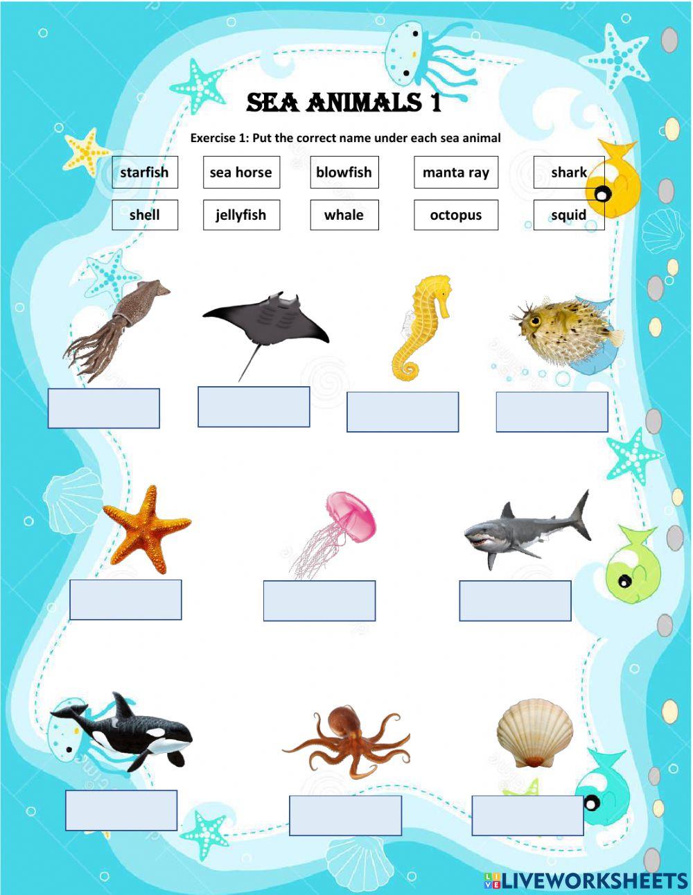 Sea animals 1