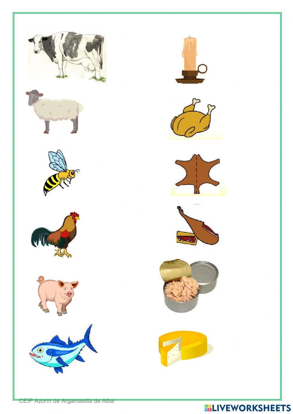 Qué nos dan los animales