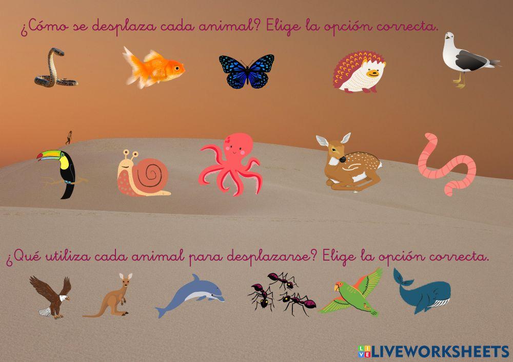 ¿Cómo me desplazo?