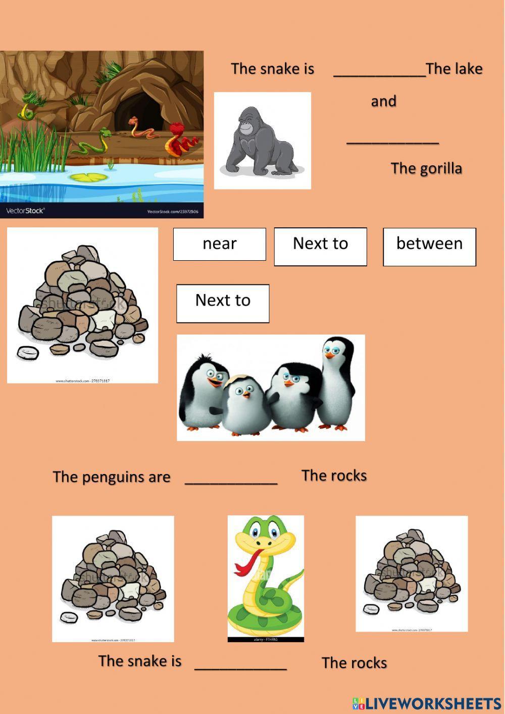 This, these, under, next to, near, in, on, between