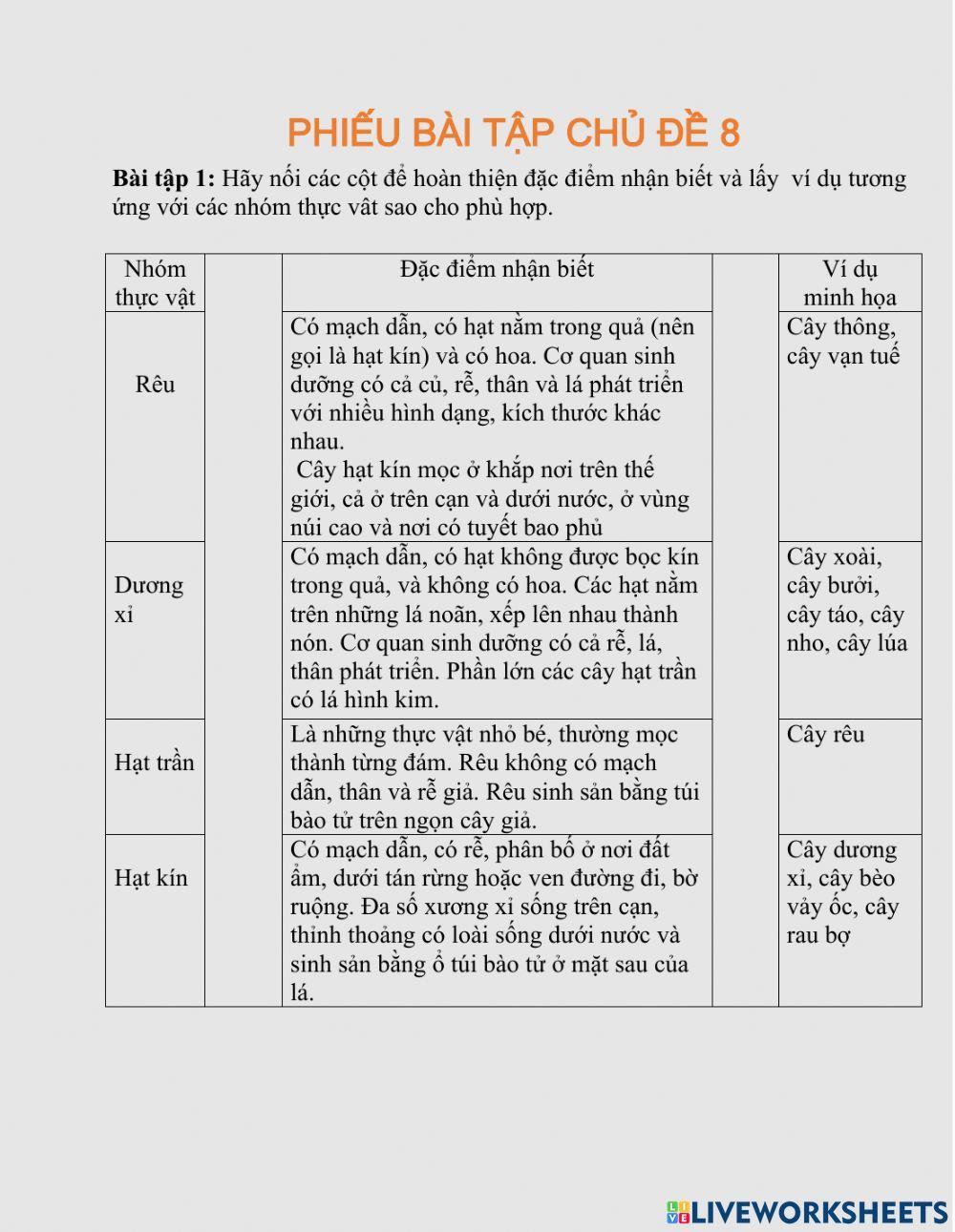 Bài tập chủ đề 8