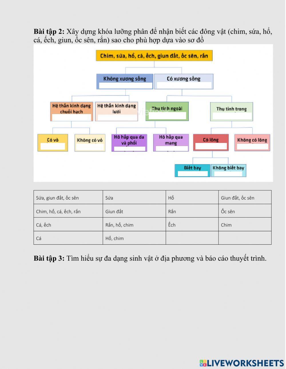 Bài tập chủ đề 8