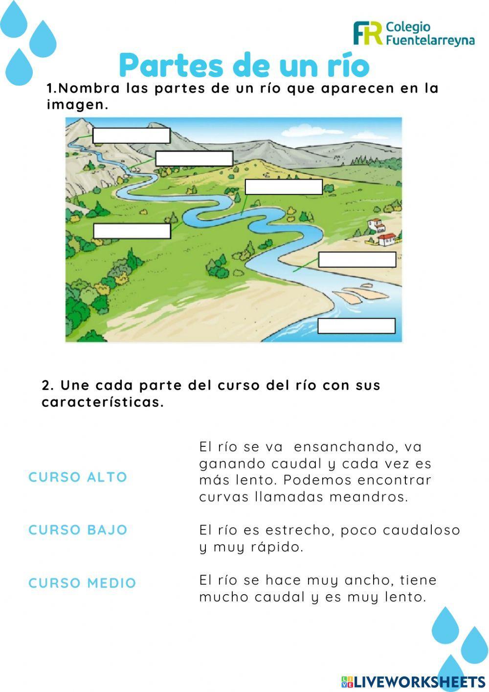 Partes del río Partes del río