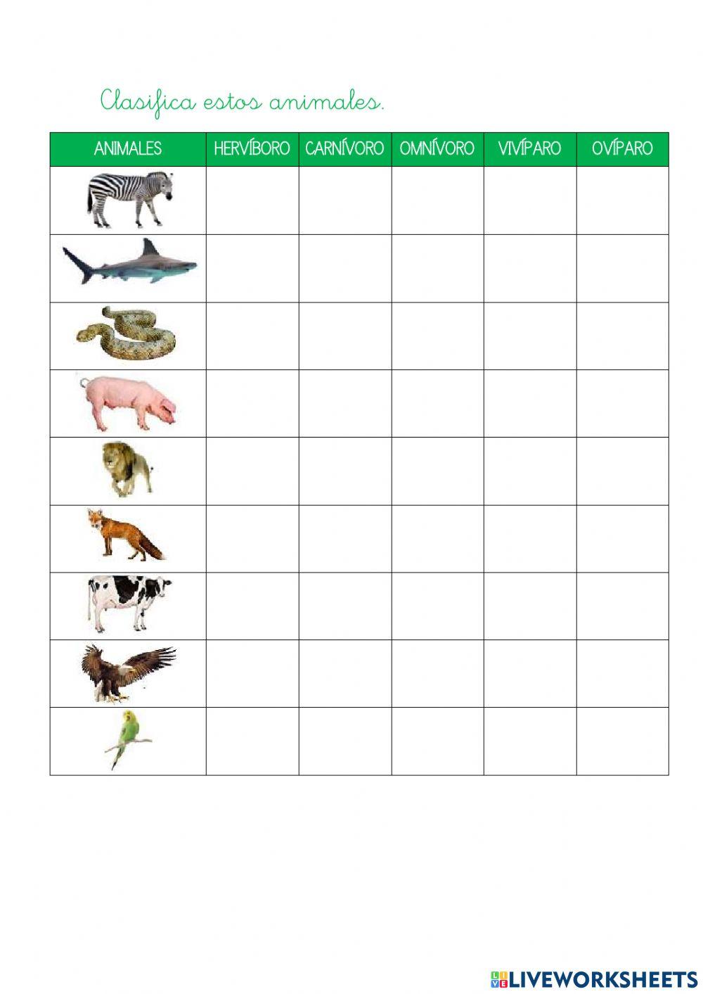 Clasificación animales