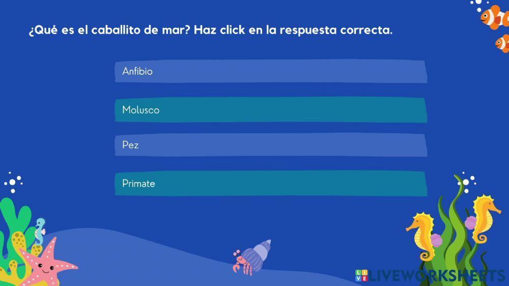 Después de la lectura: El caballito de mar