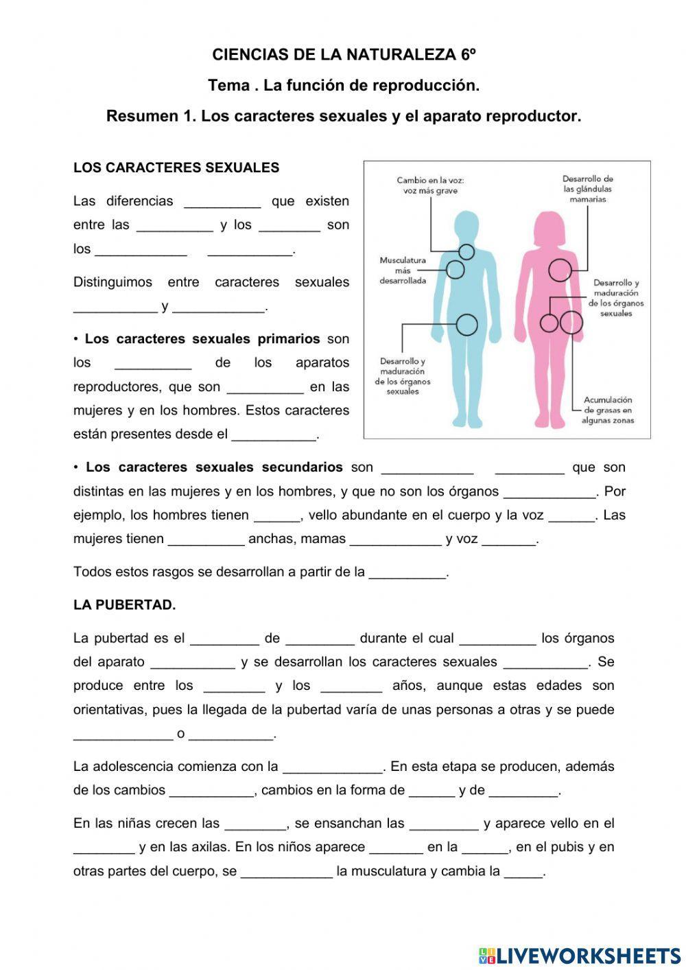 Los caracteres sexuales y el aparato reproductor.