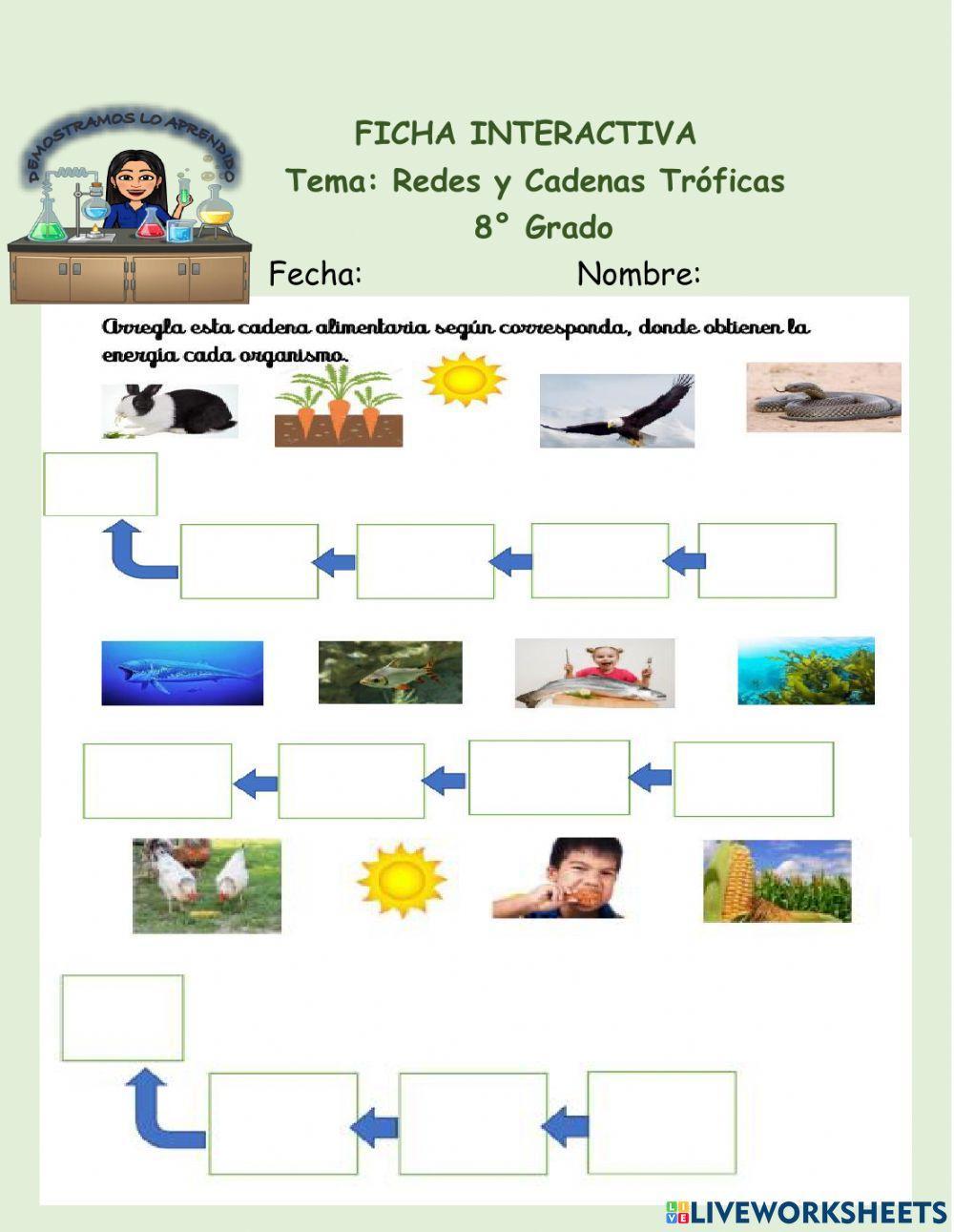 Redes y cadenas troficas