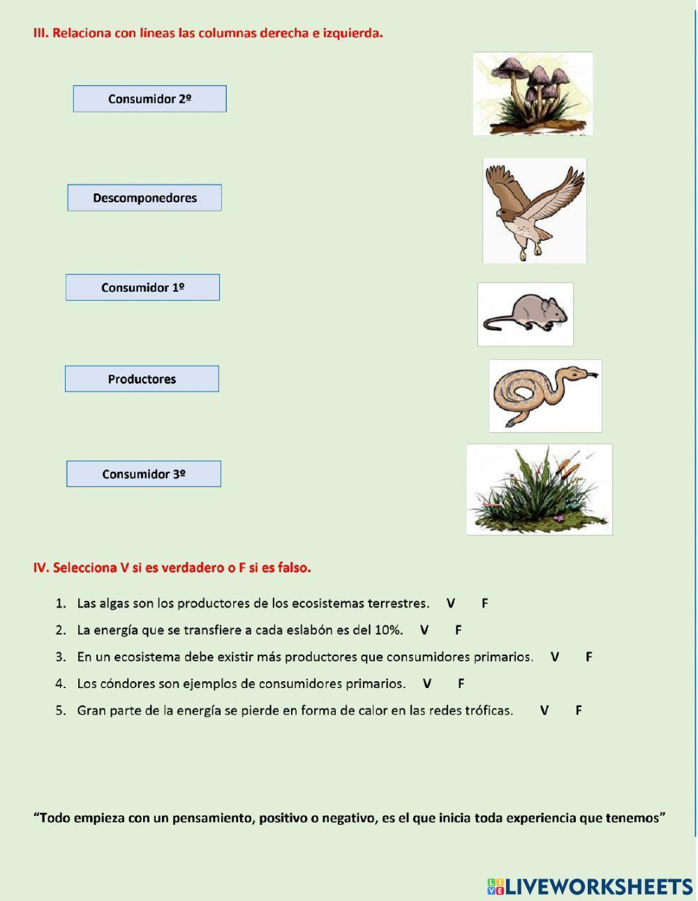 Redes y cadenas troficas