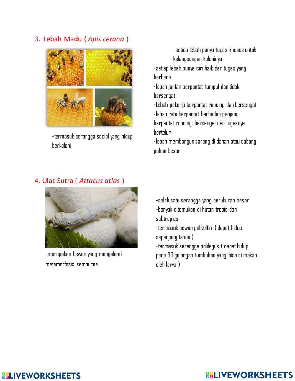 Budi daya satwa harapan