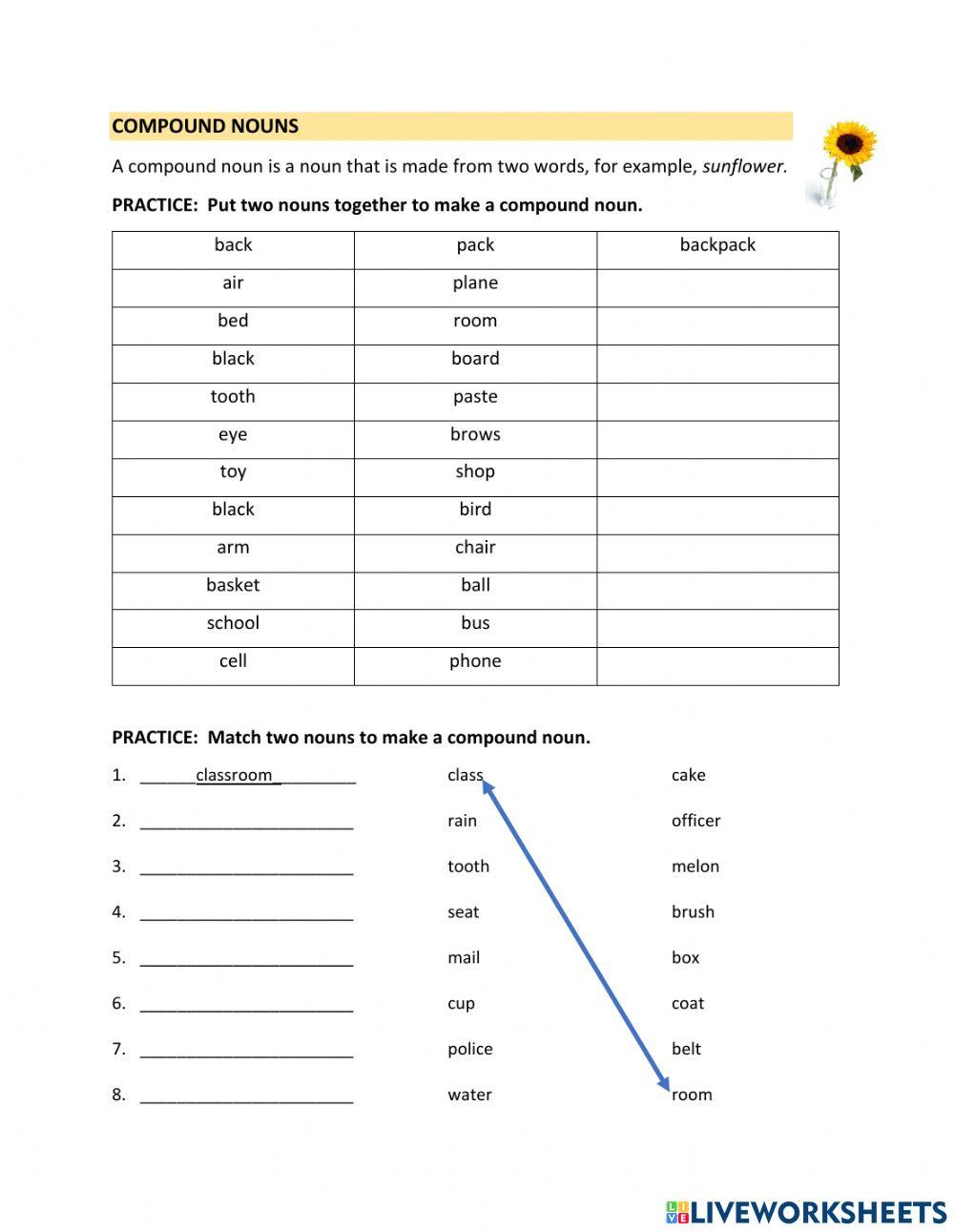 Compound Nouns exercise for Highbeginning Live Worksheets