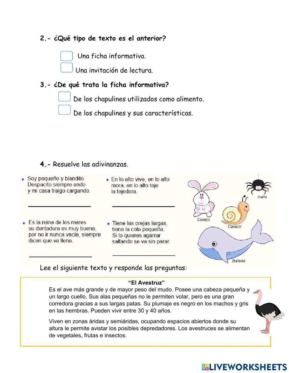 Guía de examen Español