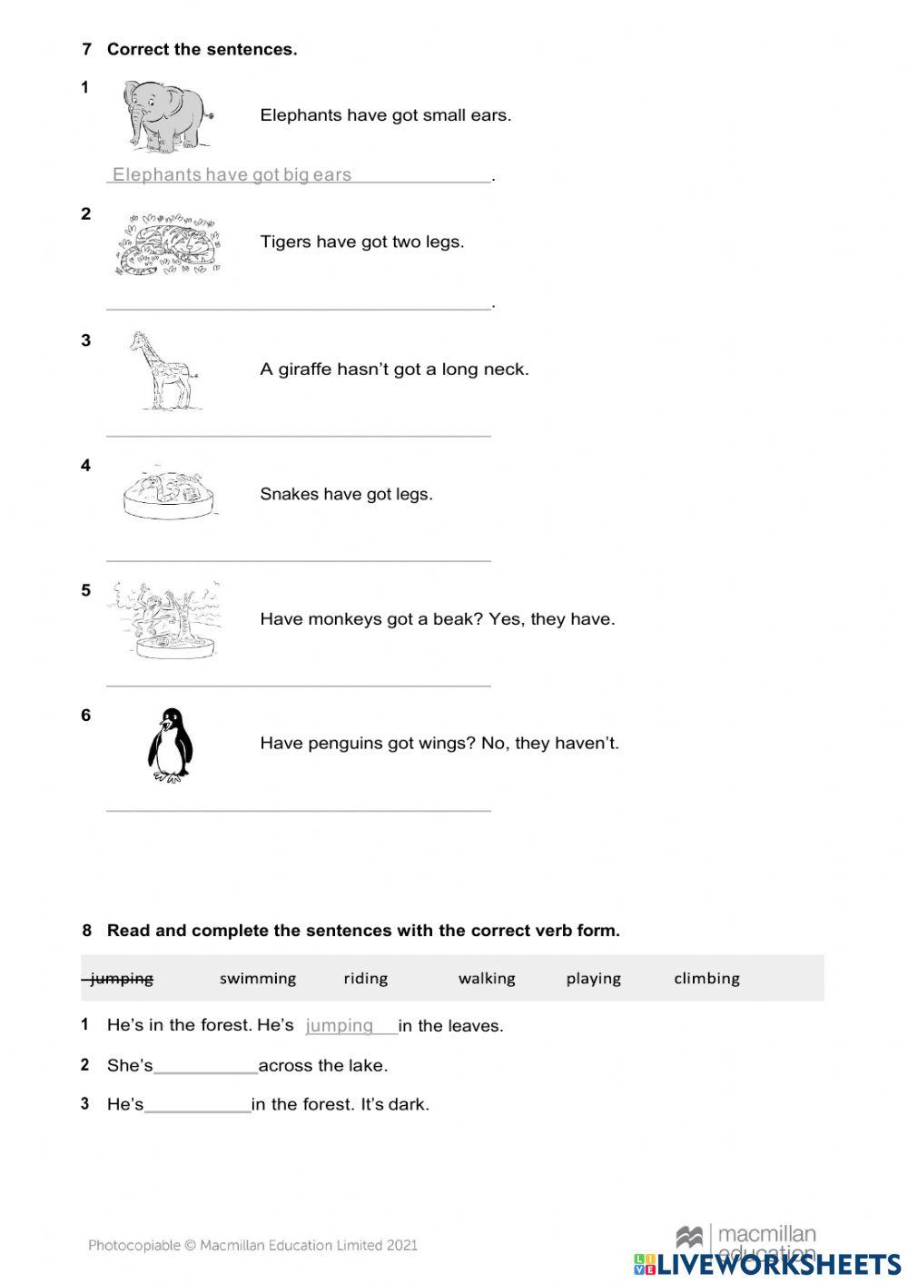 GRAMMAR EXAM SECOND GRADE (2)