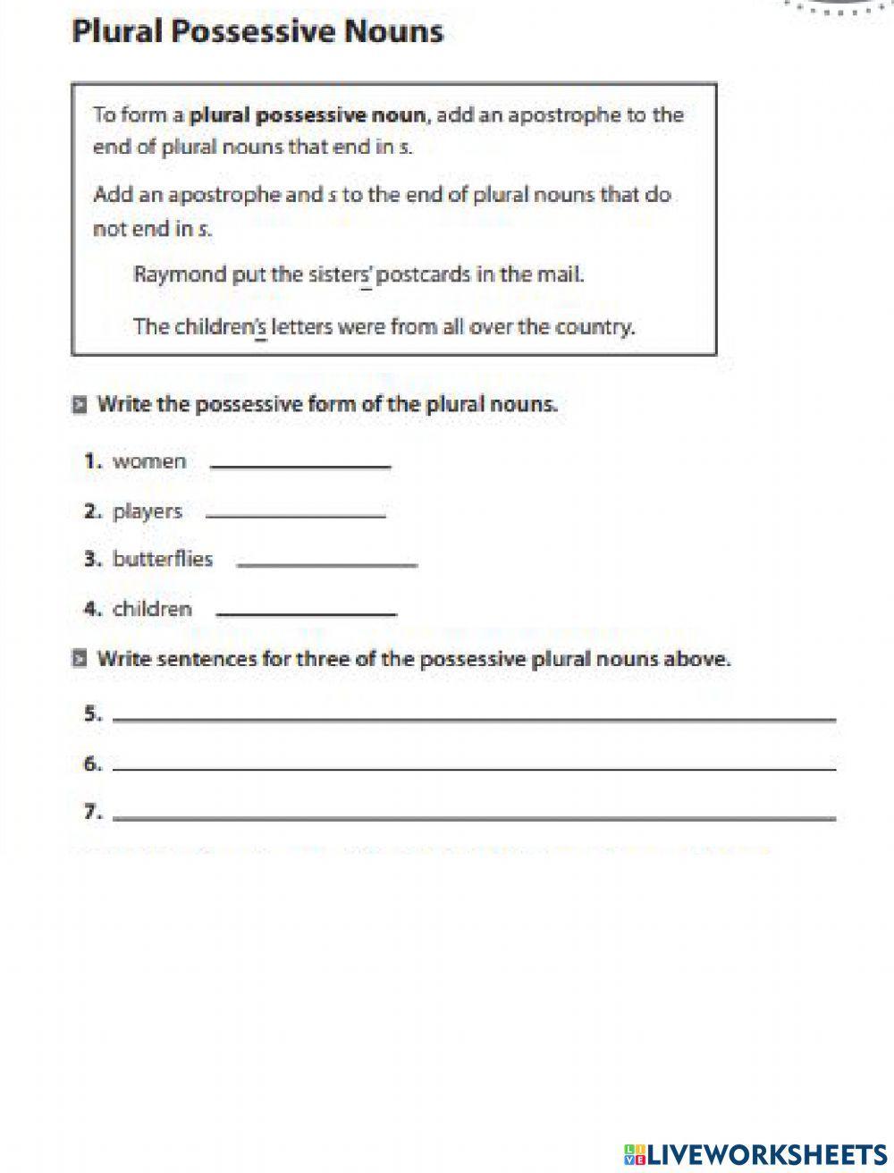 Plural Possessive Nouns