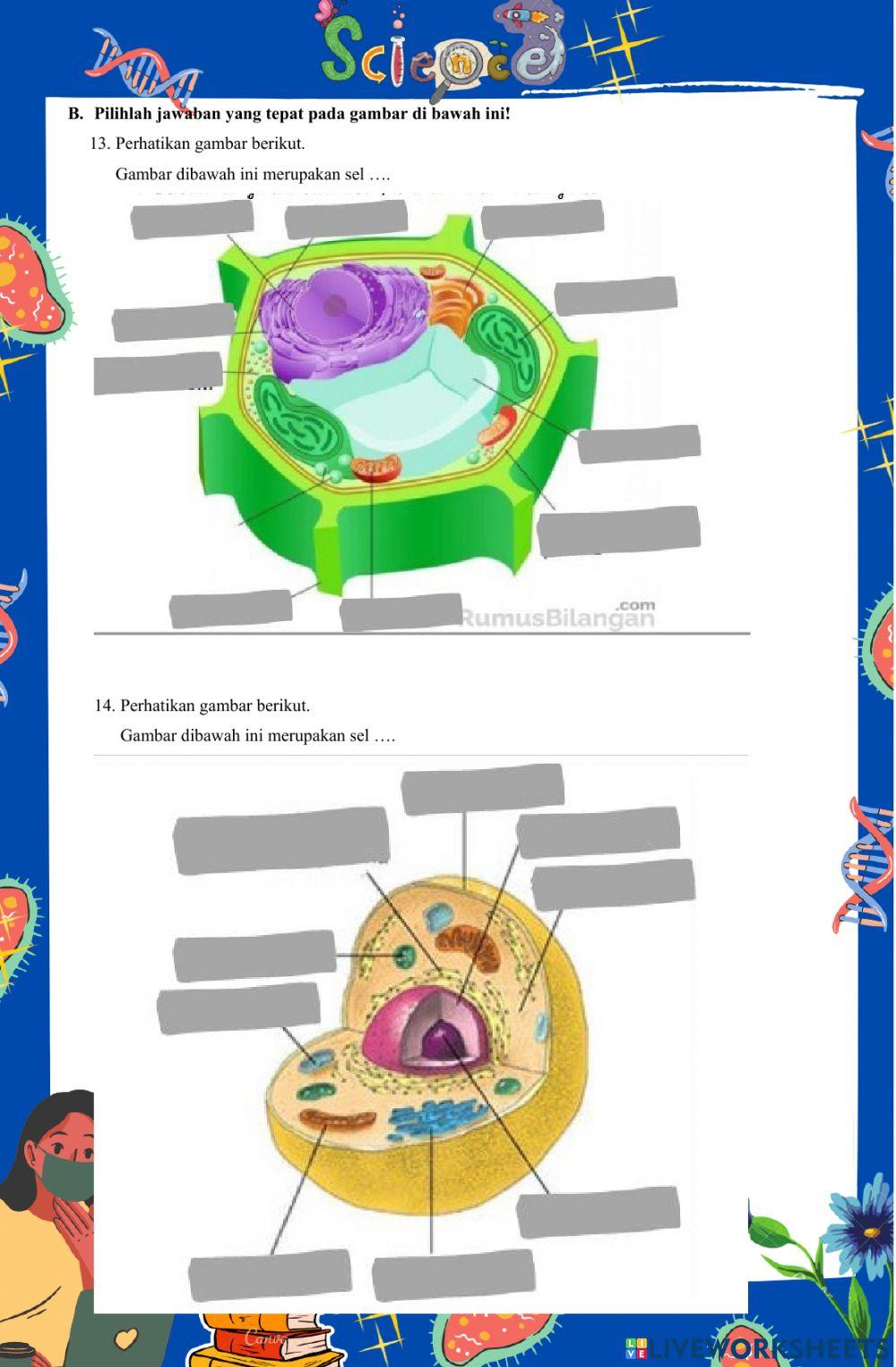 Penilaian tengah Semester Genap