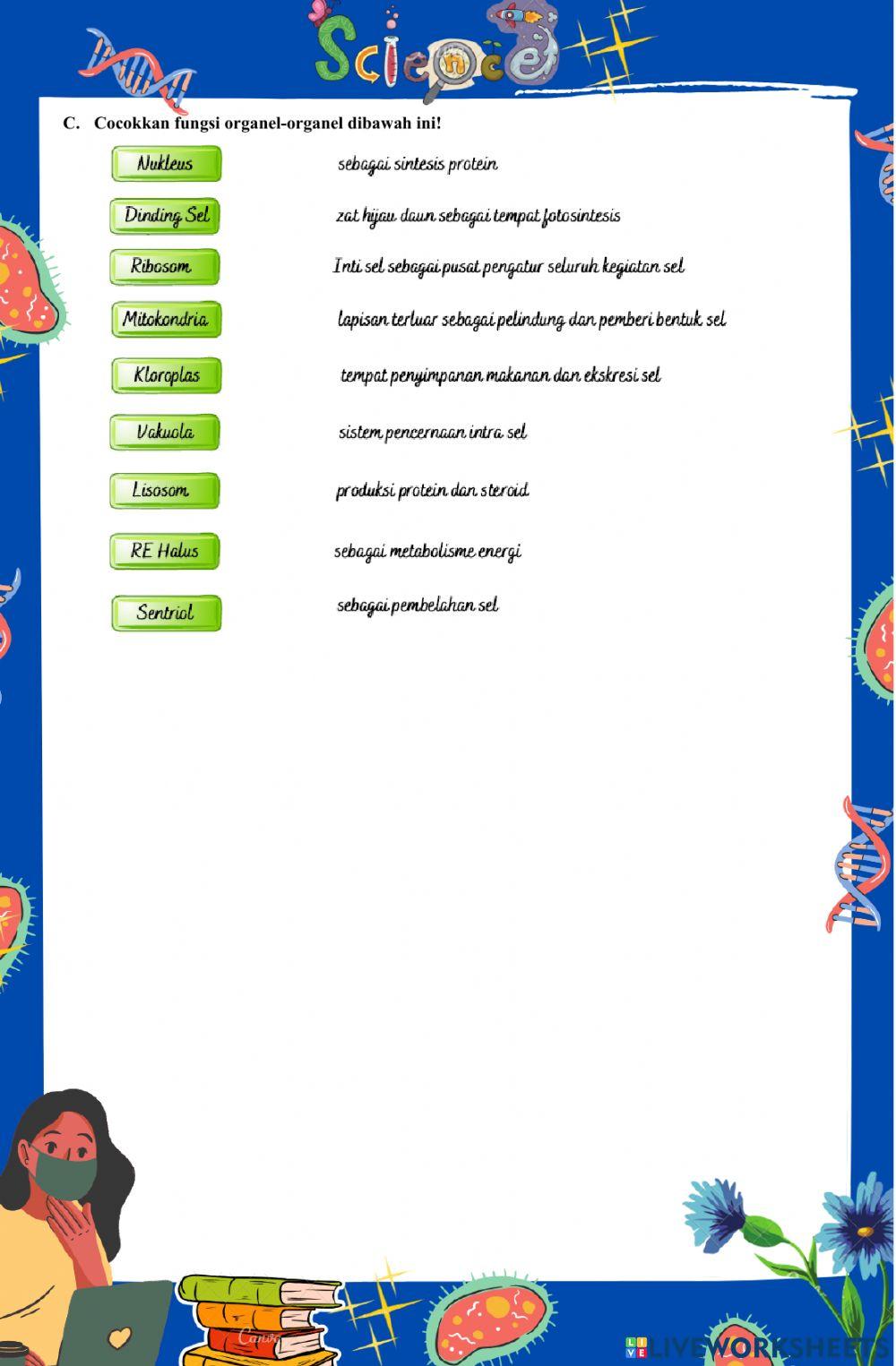 Penilaian tengah Semester Genap