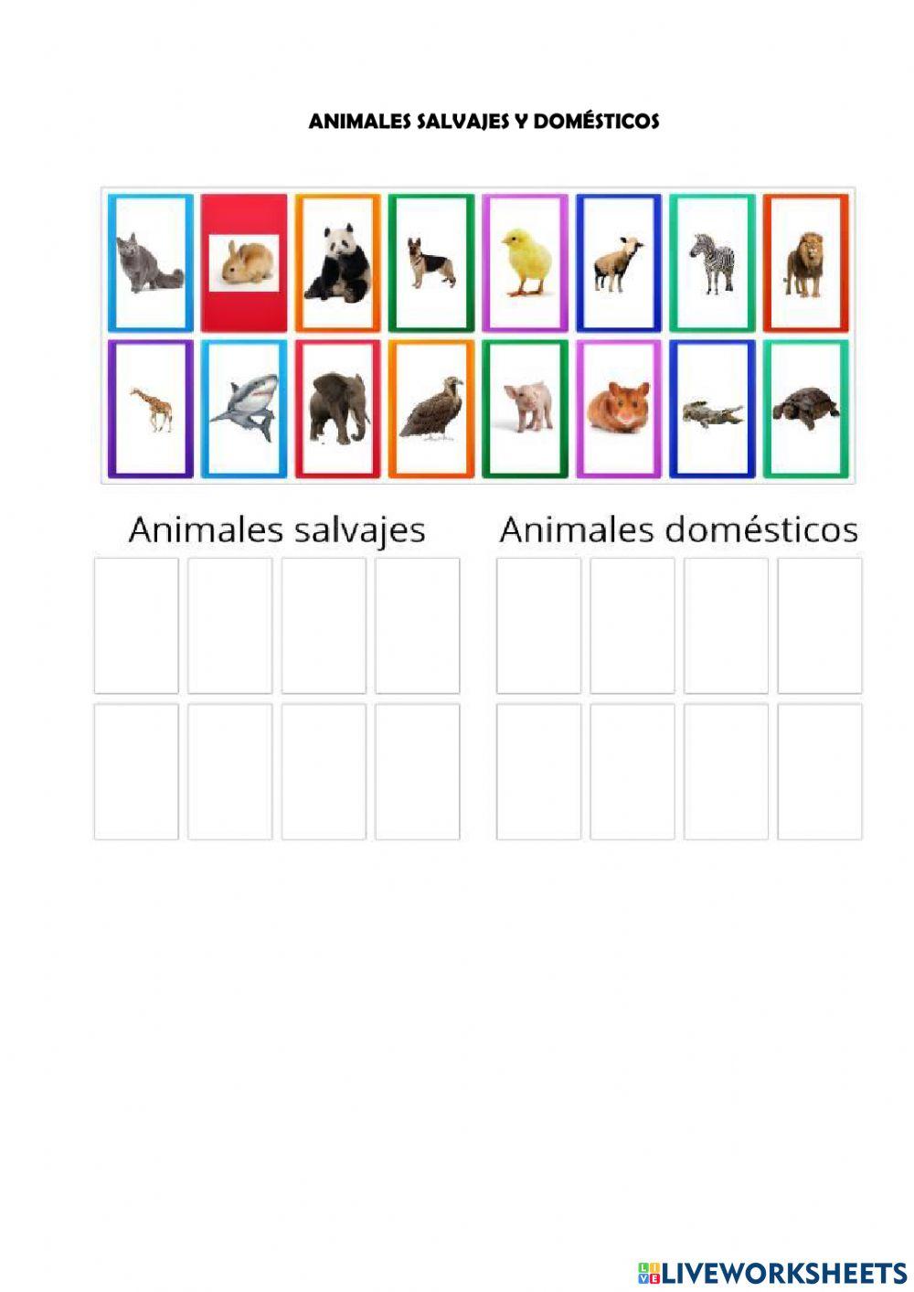 Clasificación de animales
