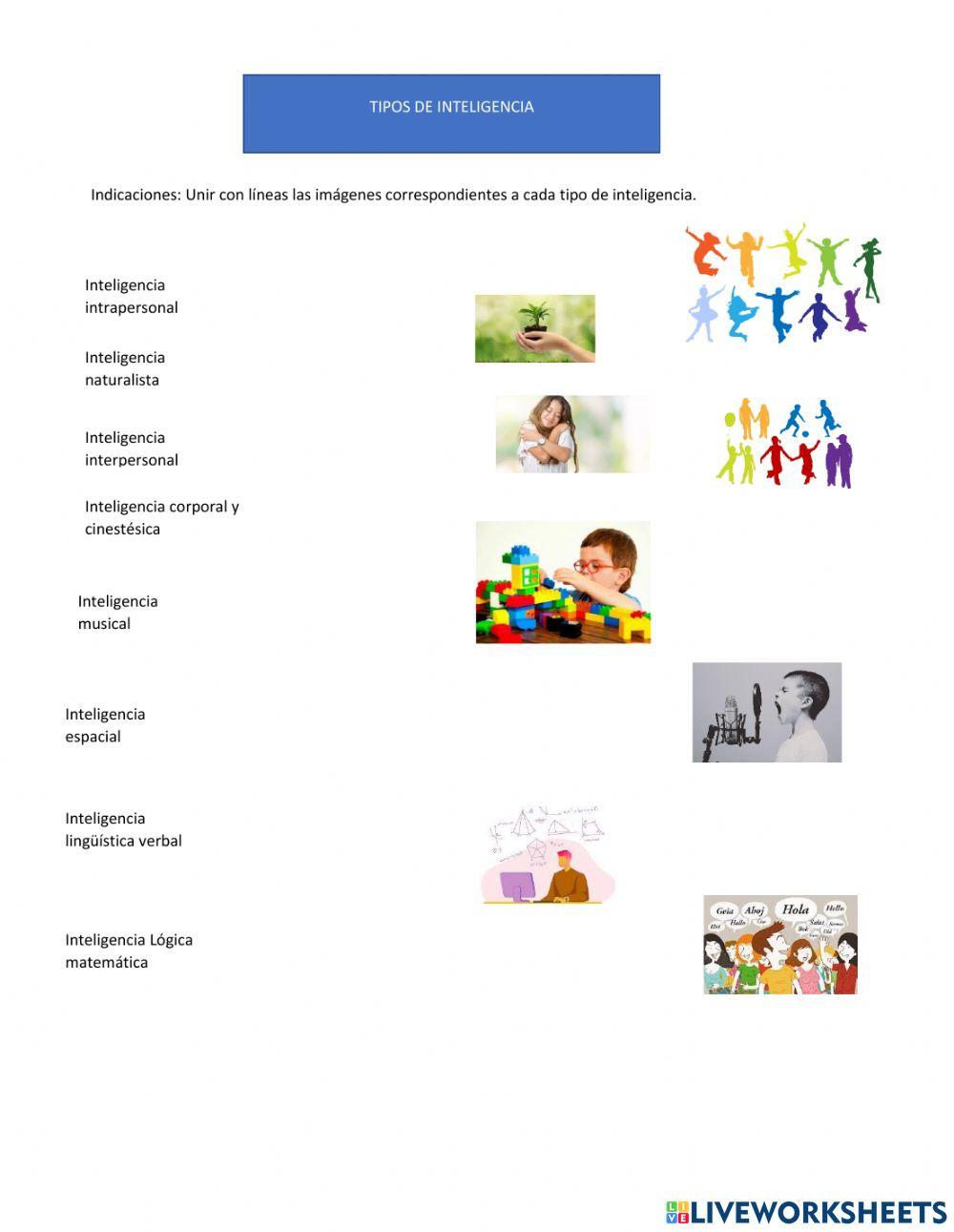 TIpos de inteligencia