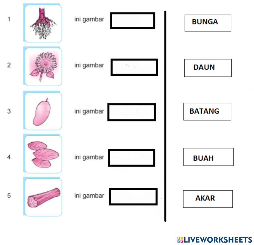 Sm sd2 ipa tumbuhan 1