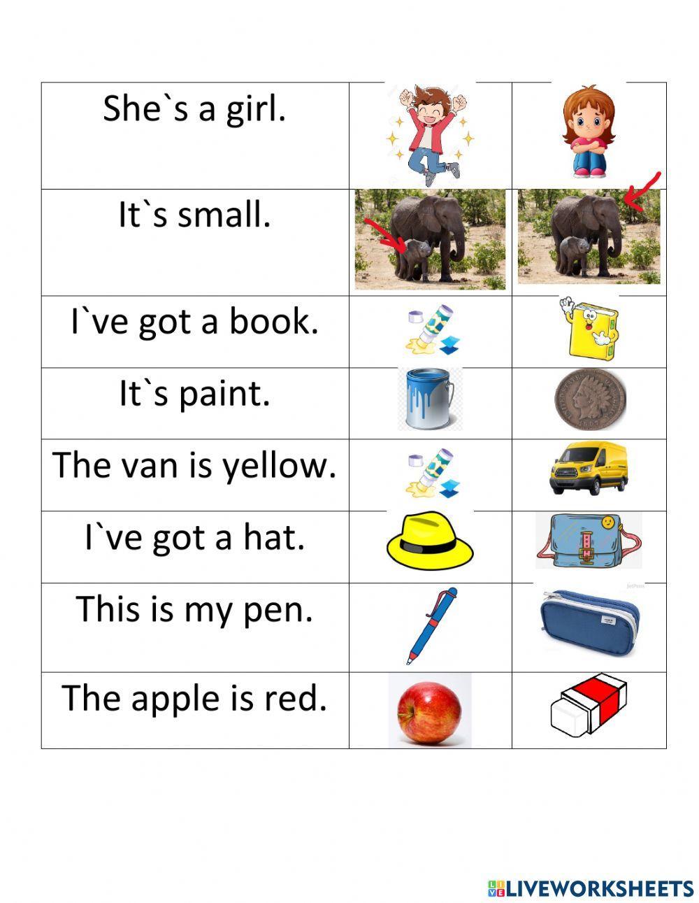 Read and choose school things Family