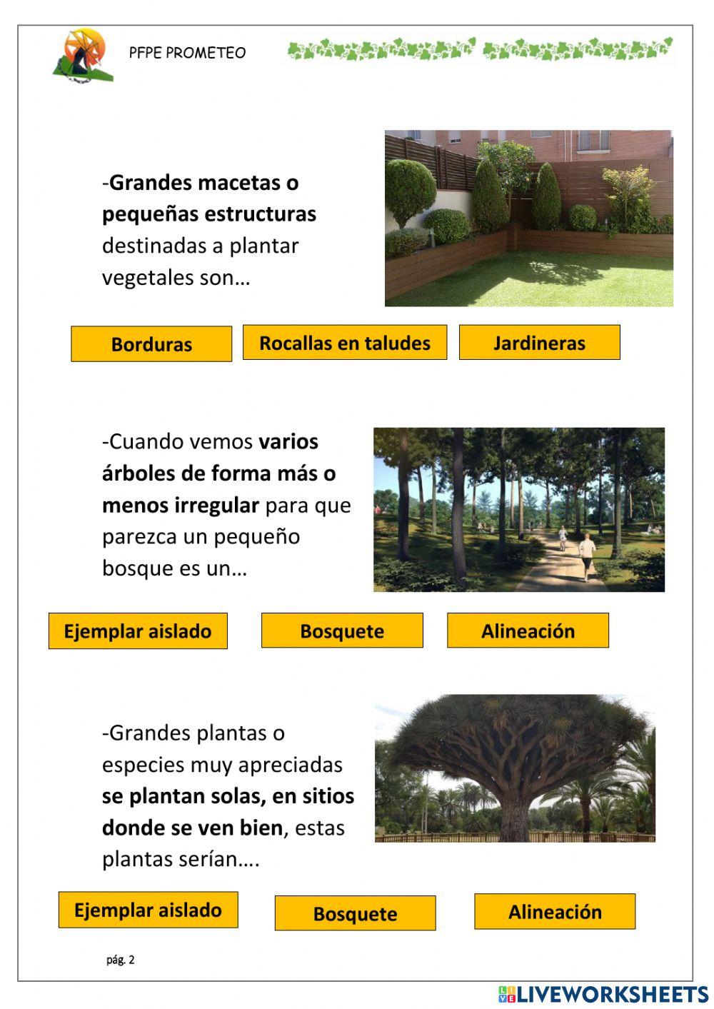 Composiciones de plantas en jardinería 2