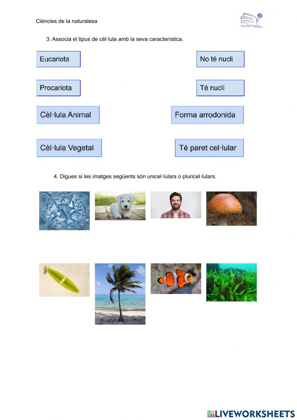 Cèl·lules i tupus d'organismes