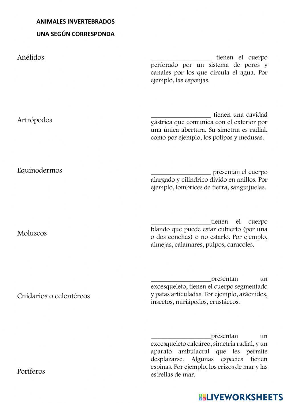 Animales invertebrados