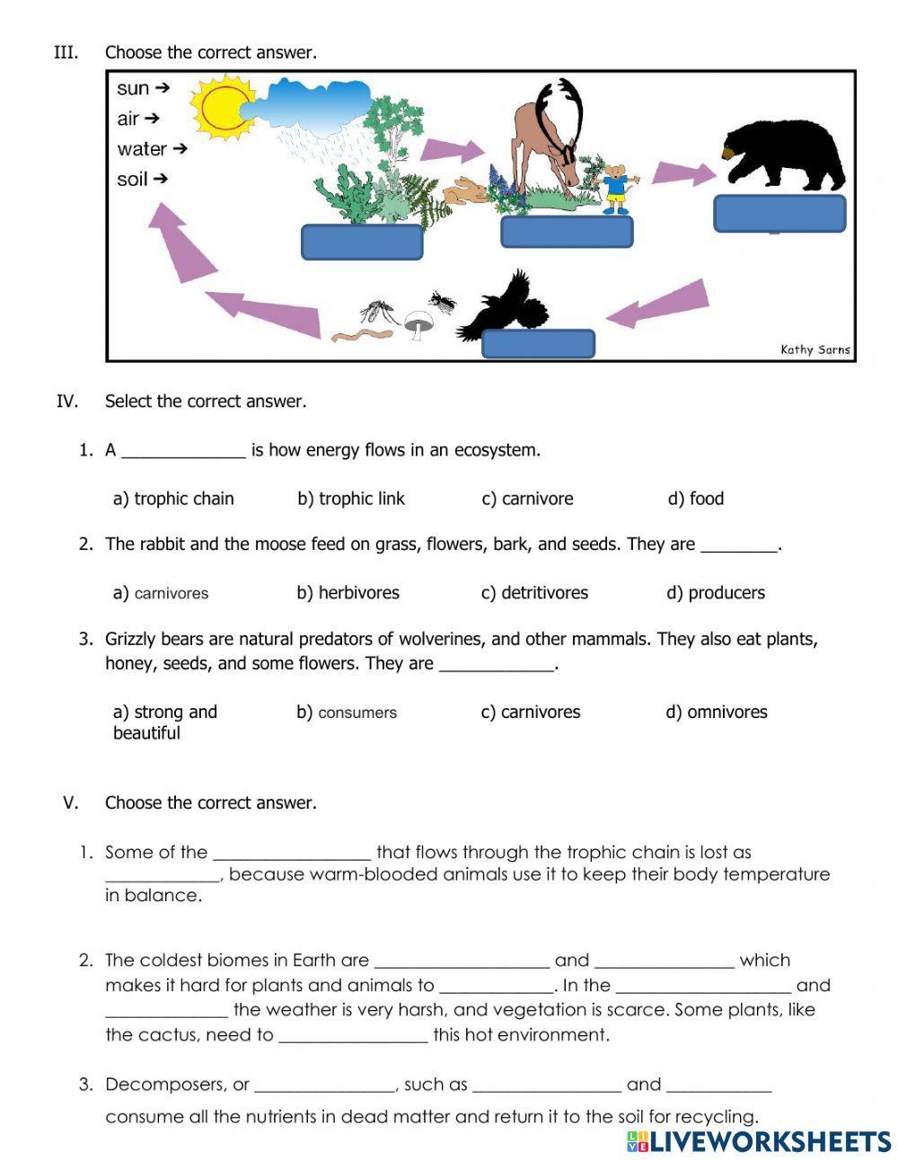 Science test term 2 part 2
