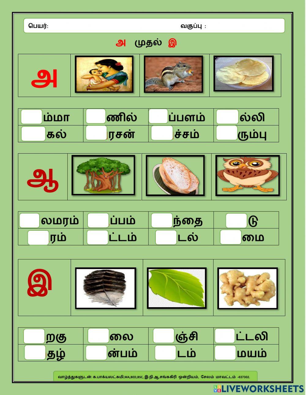 தமிழ் தமிழ்