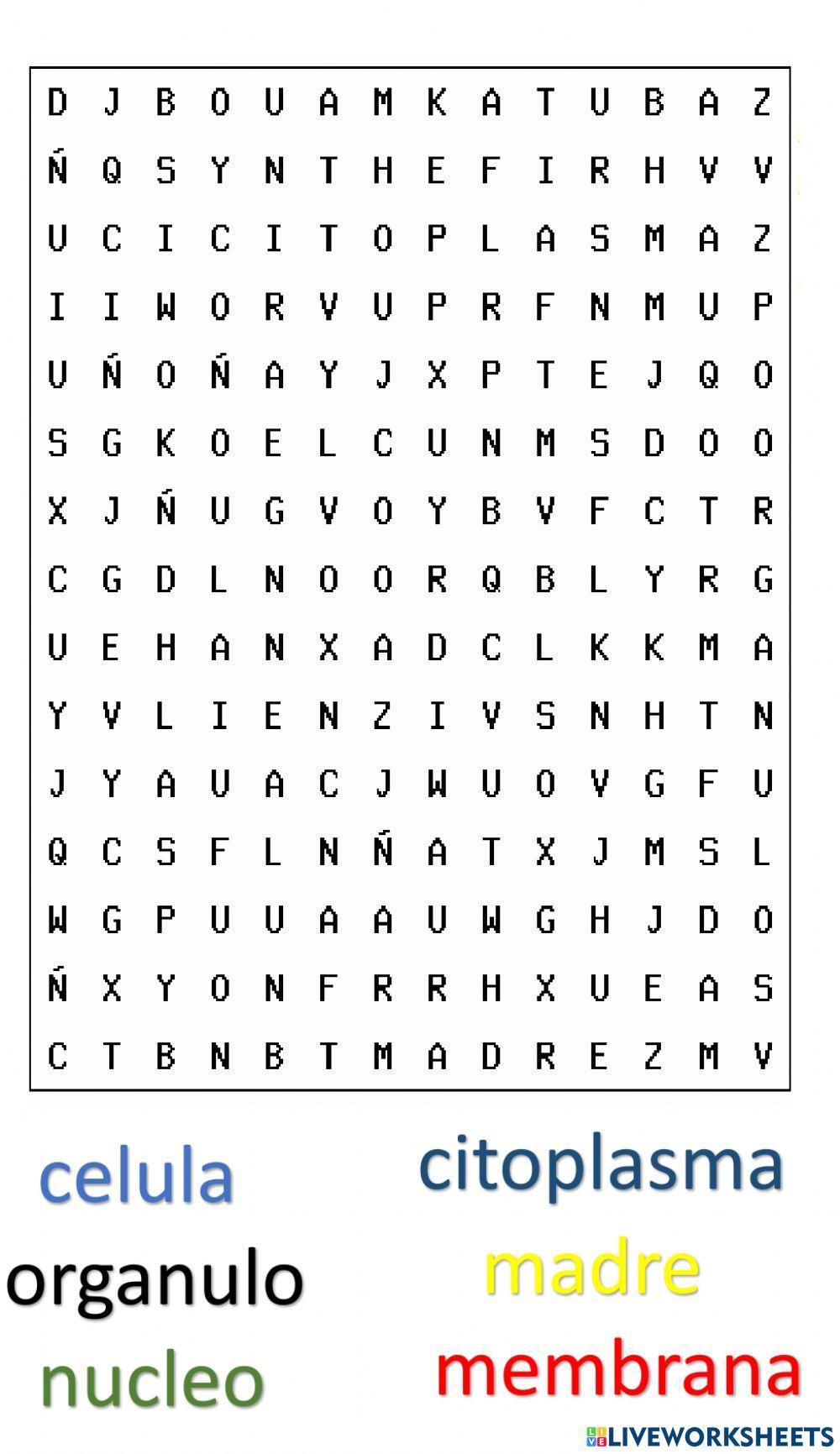 Sopa de letras … | Free Interactive Worksheets | 1924786, image size:1000x1731